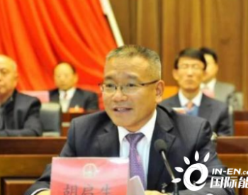 安徽省铜陵市市长胡启生代表：探索“氢制造”产业发展新模式