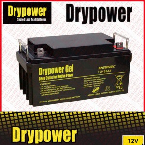 DRYPOWER蓄电池12GB65C/12V65AH厂家