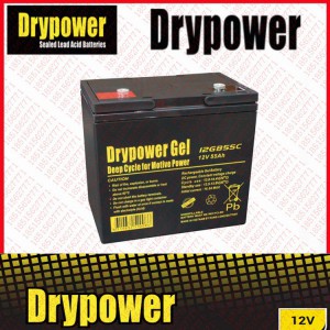 DRYPOWER蓄电池12GB55C/12V55AH代理