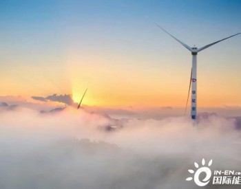 逆勢上漲VS退市 風電市場出現兩極分化