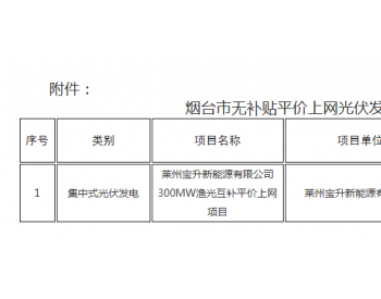 山东烟台：光伏发电项目平价上网确认公告 （2020年<em>6月份</em>第1批）