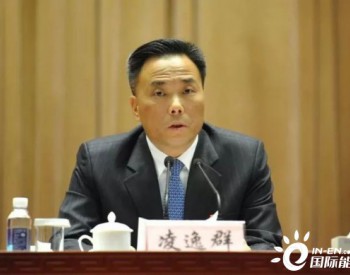 中国石化副总经理凌逸群：坚定不移走生态优先、绿色发展之路