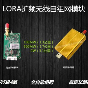 自组网模块|LORA扩频2W|RS485串口无线模块