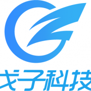 广州市戈子信息科技有限责任公司