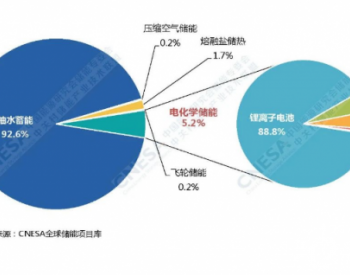 白皮书：排名前十国家新增装机占2019年全球的91.6%