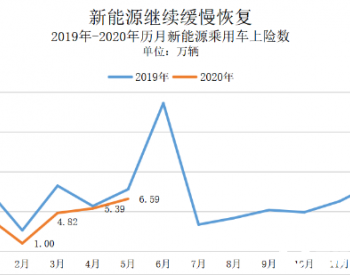 <em>私人</em>纯电市场持续扩大，特斯拉拿下近1/3市场