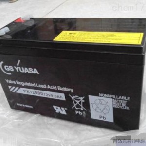 日本GSYUASA蓄电池PX12026/12V2.6AH说明