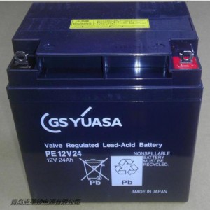 日本GS汤浅蓄电池PXL12050JFR12V5.0AH参数