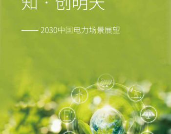 毕马威：2030中国<em>电力场景</em>展望