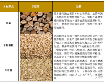 清洁能源最强者——无所不能的生物质能