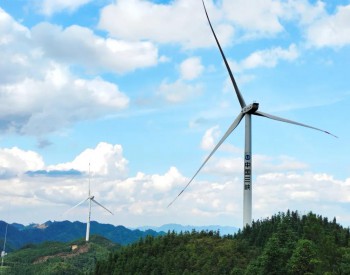 零突破！<em>三峡新能源</em>在桂首个风电项目并网发电