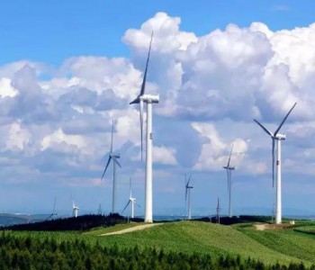 4.88GW！2020年上半年<em>能源央企</em>风机项目花落谁家？