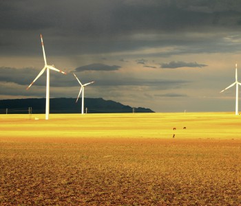 风电完成投资暴增1.5倍，发电量同比增加一成！《2020年上半年全国<em>电力供需形势</em>分析预测报告》出炉！
