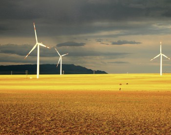 重磅丨内蒙古能源局发布风电“区域限批”令！