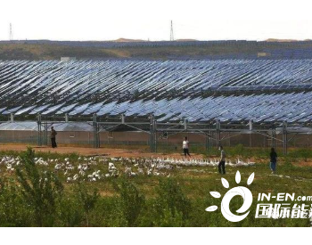<em>中国太阳能发电</em>站，为什么总会养一群羊？一个世界难题迎刃而解