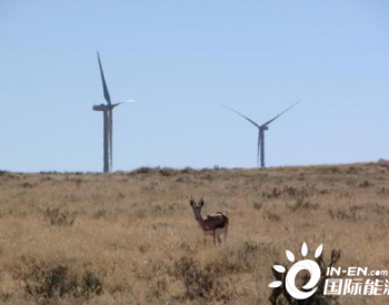 央企南非风电项目“<em>云开放</em>”：已为当地输送近20亿千瓦时电能