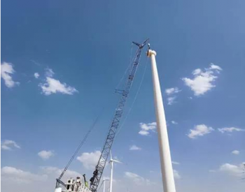 中国团队远程“云检修 ”<em>巴基斯坦风电项目</em>设备
