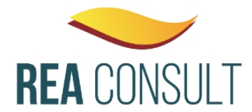 REA Consult为中国投资者打开巴西绿色能源的快速通道