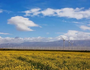 招标 | 单机要求≥2MW！大唐集团128MW分散式风电项目招标