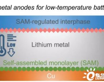 新型自组装化学层可防止锂<em>金属电池</em>因枝晶生长而失效