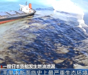 日本货船<em>漏油事故</em>赔偿金最高或不超过4.5亿元人民币