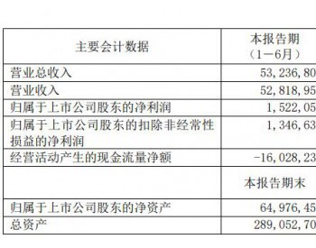<em>上海电气</em>2020年半年报出炉：营收532.37亿元，同期增长0.53%
