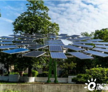 印度开发全球最大的<em>太阳能树</em>