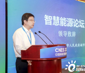 中电联售电与综合能源服务分会成功举办2020 中国新能源高峰论坛智慧能源分论坛