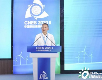 海上风电大咖建言献策，2020中国<em>新能源高峰论坛</em>成功举办！