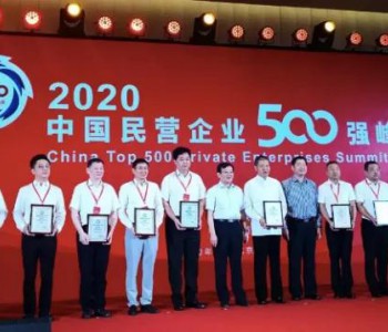 75家<em>能源类</em>企业上榜！2020年中国民营500强榜单出炉！