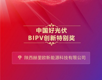 中国好光伏—BIPV创新特别奖排名