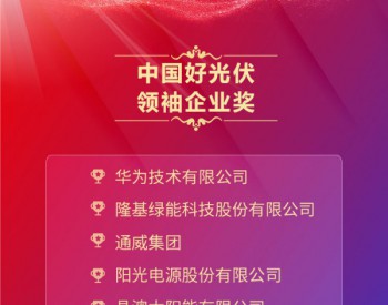 中国好光伏—领袖企业奖排名