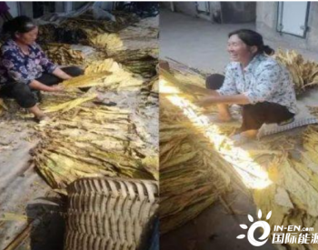 四川省首个集中烤烟房“煤改电”示范项目试点成功