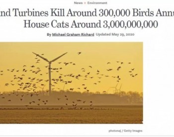 风力发电机对鸟类的<em>伤害</em>到底有多大？