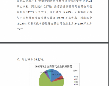 2020年6月<em>云南省天然气</em>供应及利用情况