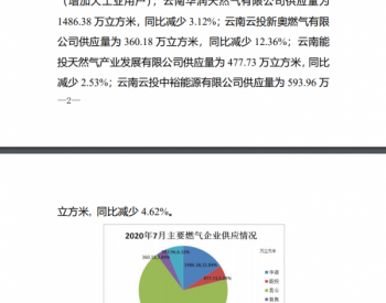 2020年7月<em>云南省天然气</em>供应及利用情况