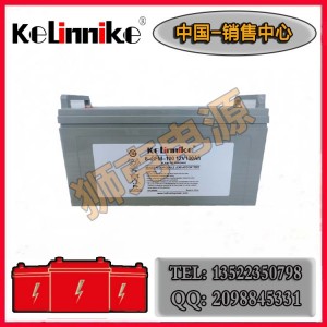 美国lelinnike克林尼克电池PRG12-120 太阳能