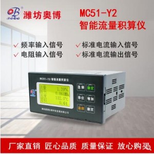 孔板涡街配套智能流量积算仪MC51-Y2生产厂家