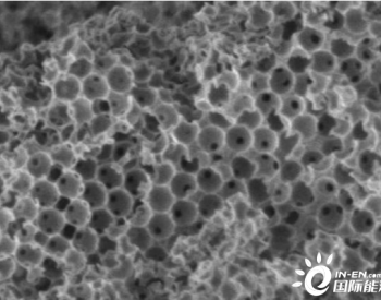 新开发的微型海绵能以极其经济的方法将废弃<em>食用油</em>转化成生物柴油