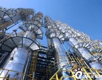 中国石化海南炼化乙烯项目动力中心<em>如期</em>完成桩基施工