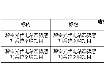 中标 | 碧宗光伏电站态势<em>感知</em>系统采购项目（招标编号：0006200000076299） 成交候选人公示