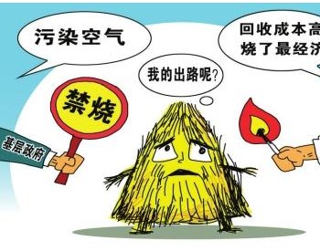 安徽铜陵：推动生物质节能生产线 让企业降本又环保