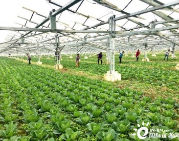 湖北宜城：农光互补不空地