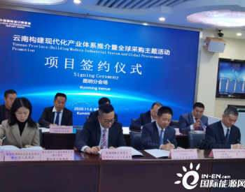 云南武定县新能源项目在第三届中国<em>国际进口博览会</em>上成功签约