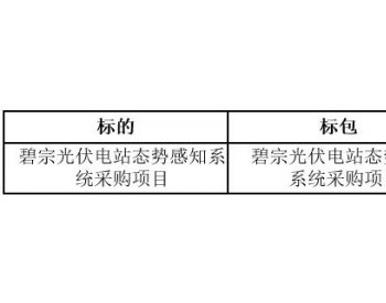 中标 | 云南碧宗光伏电站<em>态势</em>感知系统采购项目结果公告