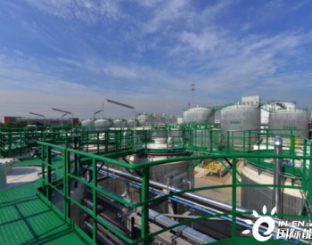 BP将在德国炼油厂启动<em>绿色氢能项目</em>