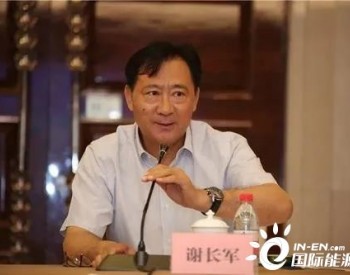 謝長軍："十四五"每年新增50GW風電是完全可以實現的！