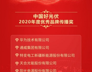 2020中国好光伏——<em>优秀品牌传播奖</em>