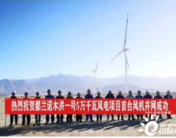 青海都兰诺木洪一号5万千瓦风电项目首台<em>风机并网</em>成功