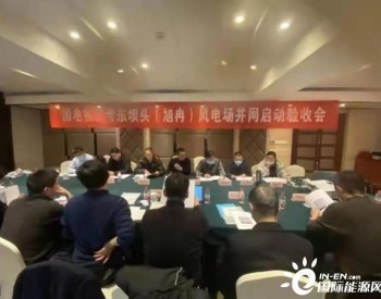 河南新能源兰考东坝头项目顺利完成并网前<em>准备工作</em>